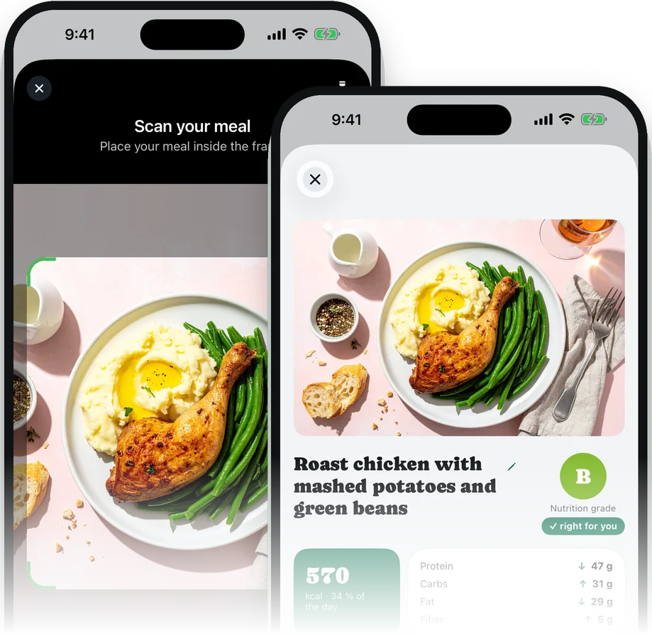 The plate scanner and its analysis: roast chicken, mashed potatoes and green beans, 570 kcal